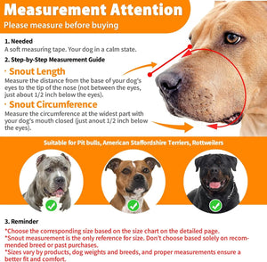 Pitbull Muzzle for Large Medium Sized Dogs to Prevent Biting Scavenging, Basket Muzzle for Rottweiler Staffordshire Terrier in Grooming Training, Allow to Pant Drink, Lightweight and Sturdy