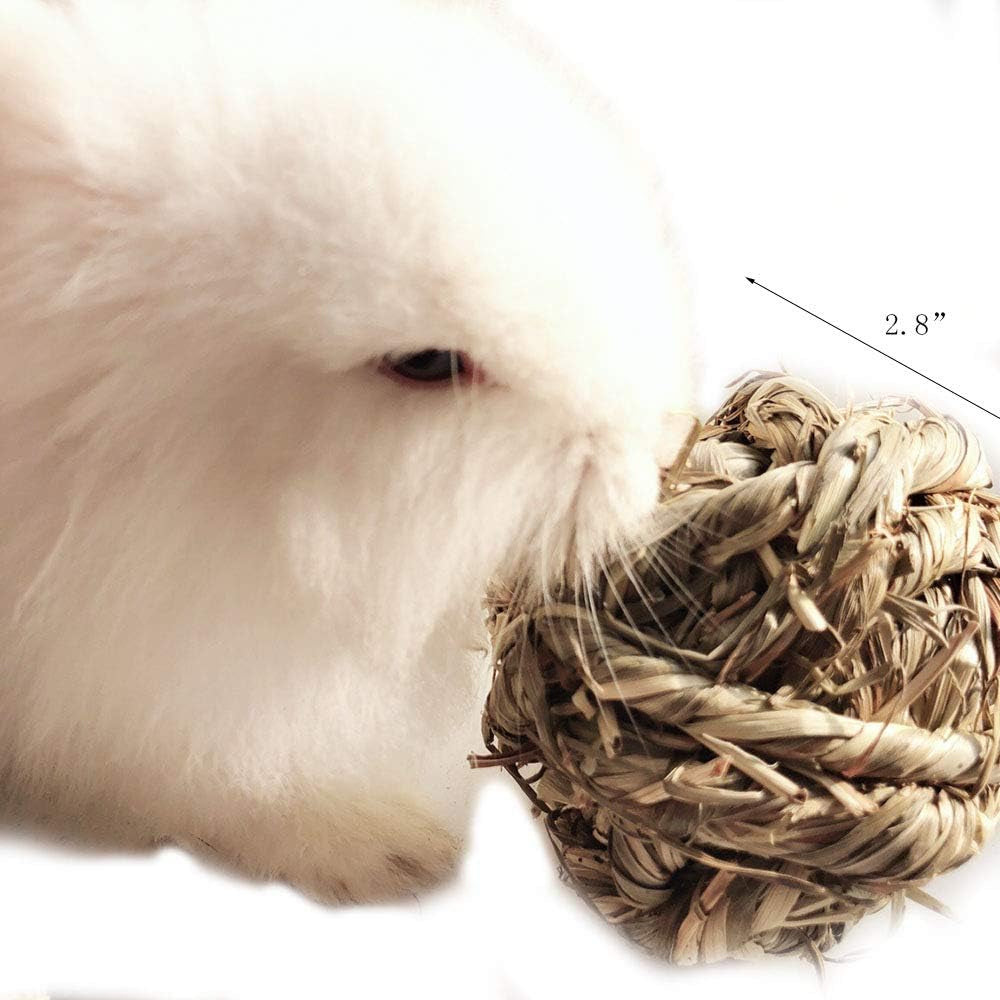 Timothy Grass Chew Balls for Small Pets — 3 Pack