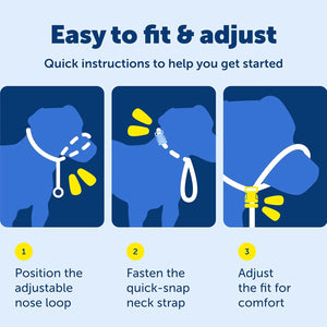 Gentle Leader Headcollar No-Pull Dog Collar - Helps Improve Walks - Durable Nylon Construction - Padded Nose Loop - Adjustable Fit - Comfort Walking Halter - Medium, Black