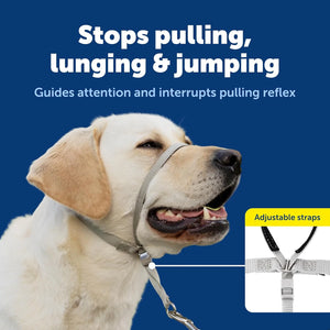 Gentle Leader Headcollar No-Pull Dog Collar - Helps Improve Walks - Durable Nylon Construction - Padded Nose Loop - Adjustable Fit - Comfort Walking Halter - Medium, Black