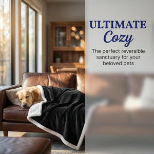 Dog Blankets for Large Dogs, Soft Fluffy Fleece Pet Blankets for Couch, Sofa, Dog Beds, Car Seats, Creat, Washable, 50X60 Inches, Black