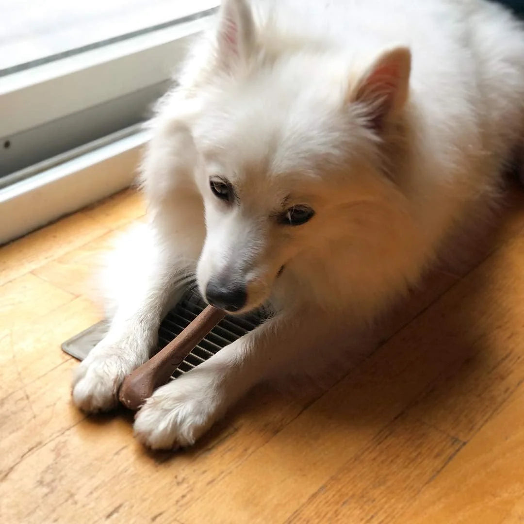 Bamboo Fiber Dog Chew Bone — Bacon Flavor, 5.75 Inches