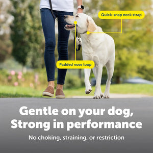 Gentle Leader Headcollar No-Pull Dog Collar - Helps Improve Walks - Durable Nylon Construction - Padded Nose Loop - Adjustable Fit - Comfort Walking Halter - Medium, Black