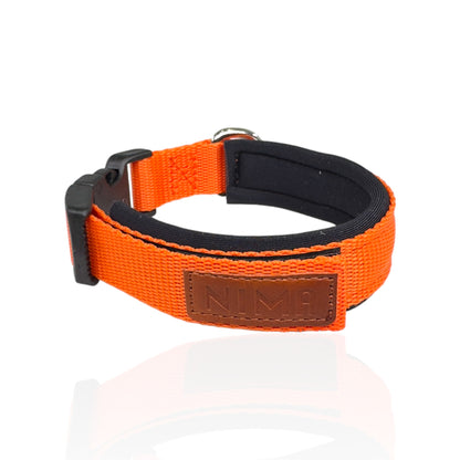 Collare Cane Small Arancio