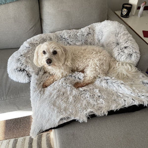 Dog Bed