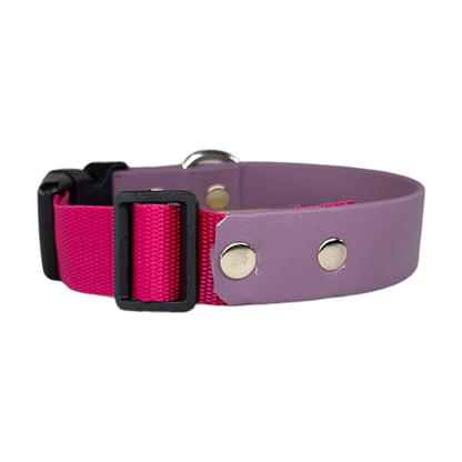 Collare Cane Chloe Biothane e Fettuccia Fucsia