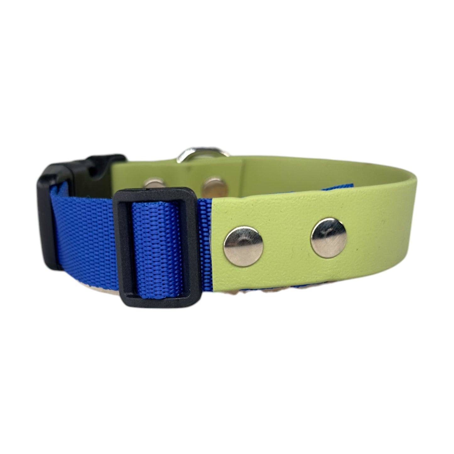 Collare Cane Bailey Biothane e Fettuccia Blue