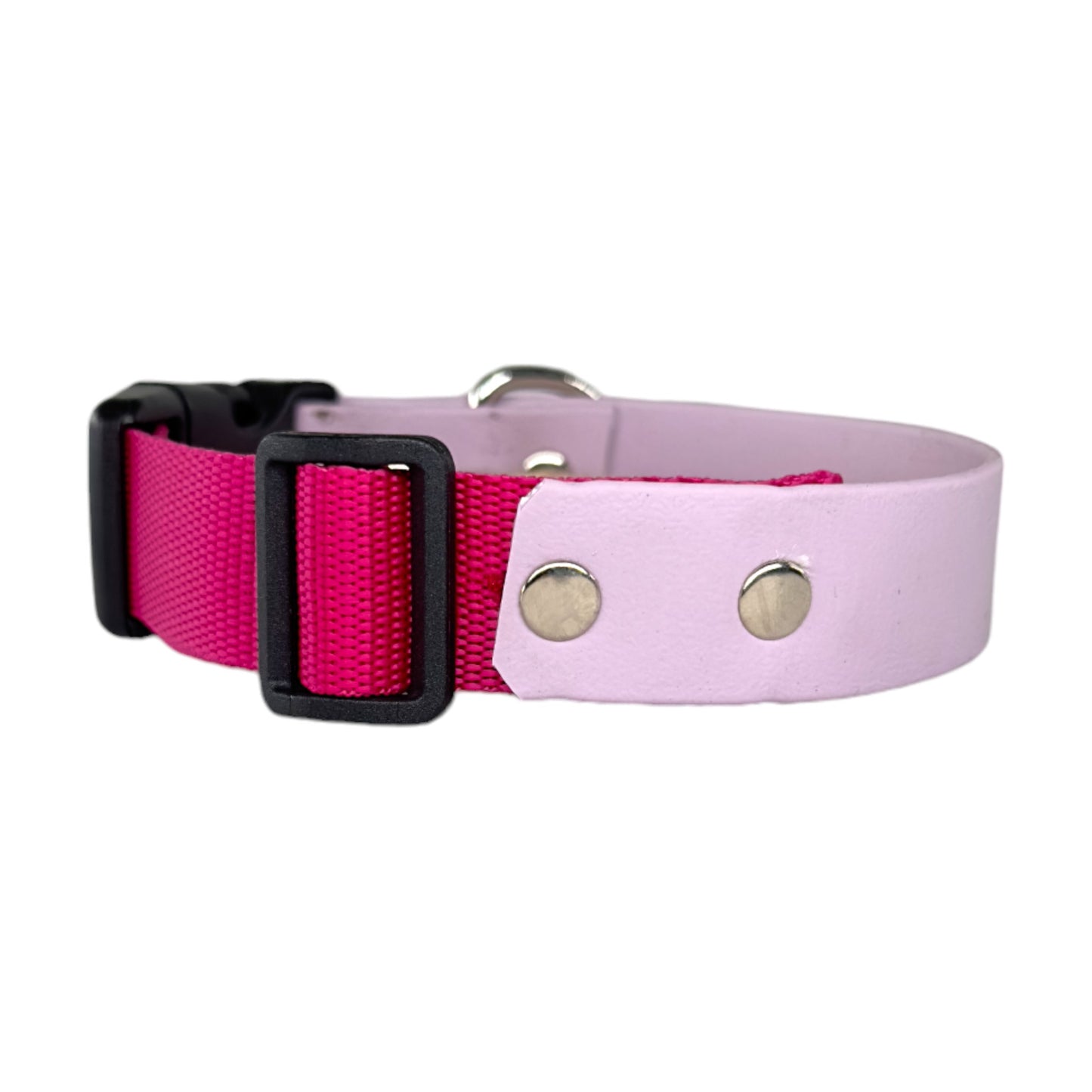 Collare Cane Sophie Biothane e Fettuccia Fucsia